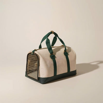 Travel carrier/tote