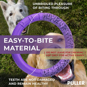 Puller Outdoor Dog Ring Toys Dog Fetch for Large Dogs Standard Size 2 Rings